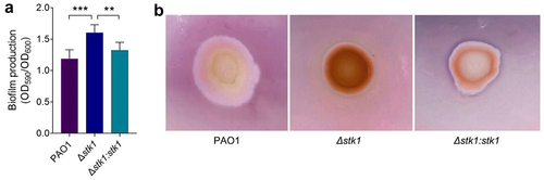 Figure 2. Effect of the deletion of stk1 on biofilm production and EPS secretion.