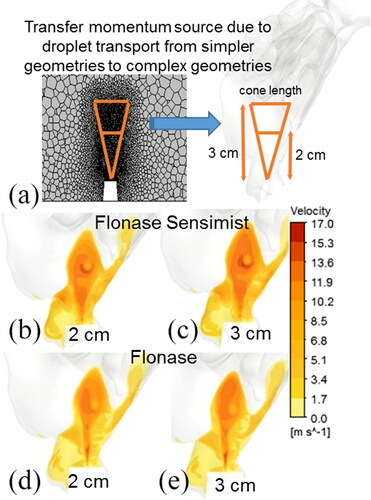 Figure 9. (a) Schematic for transferring momentum sources from a simpler geometry to a nasal geometry. Development of the momentum-jet due to momentum transfer in the nasal model at 10 ms for Flonase Sensimist with a cone length of (b) 2 cm and (c) 3 cm. Similar development of the momentum jet for Flonase with a cone length of (d) 2 cm and (e) 3 cm.
