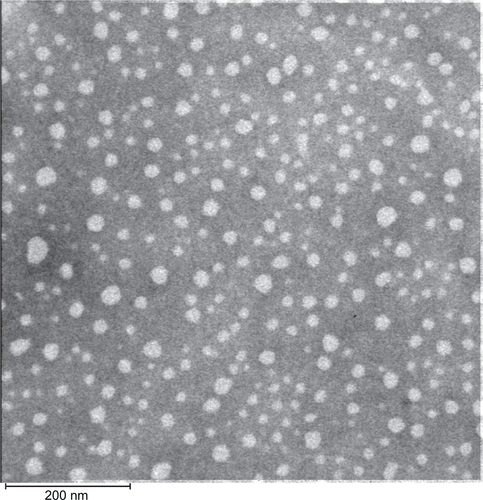 Figure S1 The morphology of docetaxel-loaded solid lipid nanoparticles observed by transmission electron microscopy.Note: Scale bar = 200 nm.