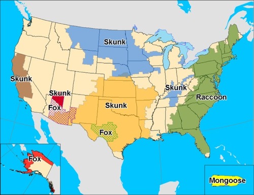 Figure 3 Distribution of the major rabies virus variants among wild terrestrial reservoirs in the US and Puerto Rico in 2008 (from Centers for Disease Control and Prevention [USA]).Citation64