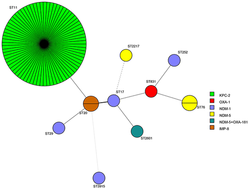Figure 1 Minimum spanning tree of 86 CRKP (carbapenemase-resistant Klebsiella pneumoniae) isolates. Each node represents a ST. The node size is proportional to the number of strains in the representative ST. The colour distribution represents the distribution of carbapenemase genes among different STs.