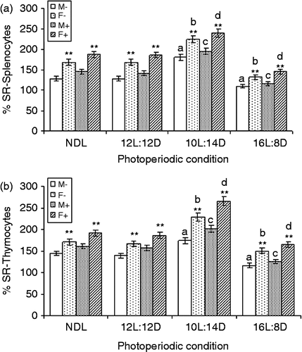 Figure 3.  LPS treatment and % SR of splenocytes (a) and thymocytes (b) under different photoperiods. NDL, 12L:12D, 12 h light 12 h dark; SD, 10L:14D; LD, 16L:8D, N = 7 per group. Data are Mean +/ − SEM. Measurements were by thymidine [3H] incorporation in vitro. **p < 0.01 vs. respective female treatment in the same photoperiodic group; paired t-test; a: p < 0.01 vs. control males in NDL group; b: p < 0.01 control females in NDL group; c: p < 0.01 vs. LPS-treated males in NDL group; d: p < 0.01 vs. LPS-treated females in NDL group; one-way ANOVA followed by post-hoc test Tukey's HSD. M − : untreated, control, male; F − : untreated, control, female; M+: LPS-treated male; F+: LPS-treated female.