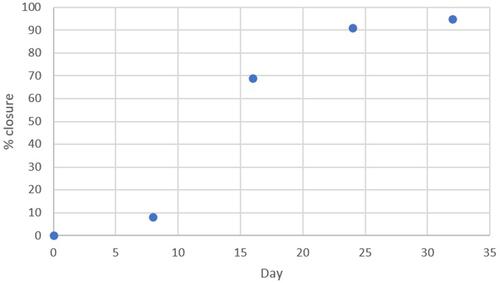 Figure 3 Evolution of the patient’s PI, percentage of closure versus time (days).