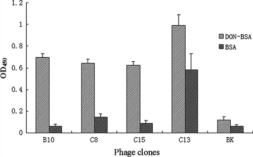 Figure 4.  Phage-ELISA against DON-MBSA or BSA.