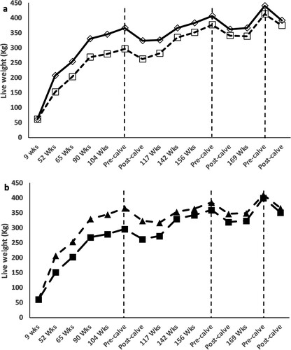 Figure 6. Live weight gain profile of animals from weaning (9 weeks) until post-calving in their third lactation: A = Display full sizeRotational grazing or = Display full sizeSet-stocking up to pre-calving and then rotational grazing as lactating cows; B = Display full sizeRotational grazing or = Display full size Set-stocking up to pre-calving and then set-stocked grazing as lactating cows (Experiment 1).