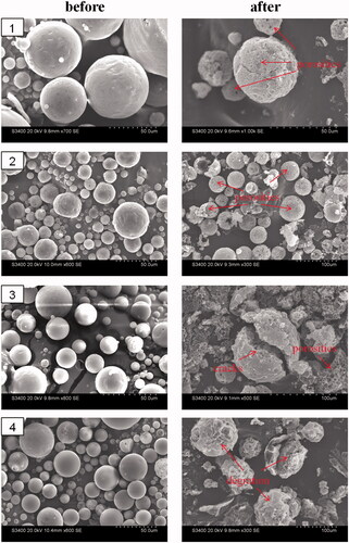 Figure 5. SEM images of different inner phase of liquid (1), Gel 1 (2), Gel 2 (3) and solid (4) before and after exposure to PBS (pH 6.8).