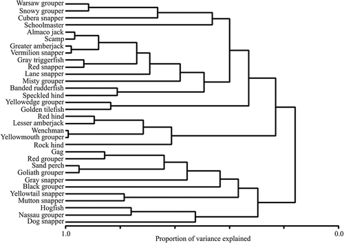 FIGURE 7. Dimension reduction cluster analysis of species presence–absence in Gulf of Mexico reef fish recreational MRFSS-reported landings aggregated by year, wave, mode of fishing, and area fished (linkage: VARCLUS; measure: proportion variance explained; transformation: binary).