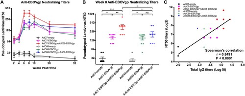Figure 2. Neutralizing antibody responses in immunized mice. (A) Kinetics of EBOV GP specific neutralizing antibody responses NT50 in 32 weeks post vaccination. (B) NT50 responses of each immunized groups at week 8 post vaccination. (C) Correlation between NT50 titres and total IgG titres. Pearson’s correlation was applied in this analysis. All data were displayed as mean ± SEM. Significant differences were displayed as: NS, no significant differences;*P < 0.05; **P < 0.01; ***P < 0.001.