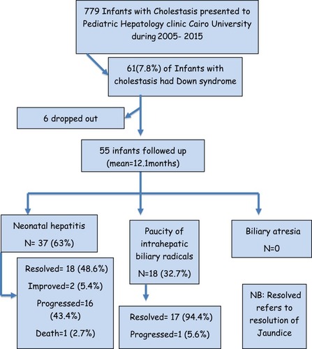 Figure 1 Flowchart of studied cohort of neonates and infants with Down syndrome and cholestasis.