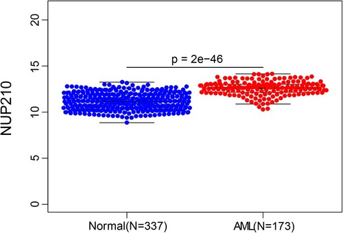 Figure 1 . NUP210 mRNA expression in patients with AML and healthy individuals