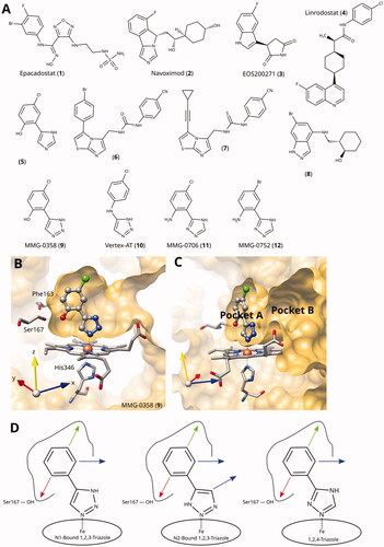 Figure 1. (A) Examples of clinical and other potent IDO1 inhibitors. (B) and (C) Rotated views of the binding pockets A and B in IDO1-active site (PDB ID 6r63Citation22; ligand MMG-0358). (D) Main lead optimisation strategies pursued in this work. The red arrow denotes a preferentially hydrogen-bonding substituent, the green arrow a hydrophobic substituent, and the blue arrows potential access points to pocket B. As demonstrated before, the acidic hydrogens on the triazole rings are crucial for activity and therefore cannot provide access to pocket B.