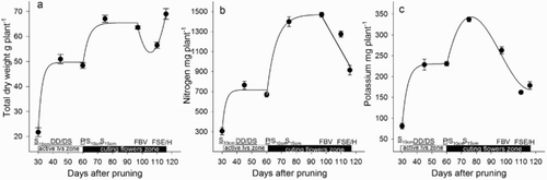 Figure 1. Total dry weight (a), N (b) and K (c) accumulated in roses during the development of the zone of active leaves and zone of cutting flowers, including the harvest. DD = debudding of the active leaves zone, DS = deshooting of the active leaves zone, P = pinch of the active leaves zone, S10 cm = shoots of the cutting flowers zone with 10 cm length, S15 cm = shoots of the cutting flowers zone with 15 cm length, FBV = flower buds visible in the cutting flowers zone, FSE = flower stem elongation in the cutting flowers zone, H = harvest of flower. Bars represent the standard error of the mean (n = 5).