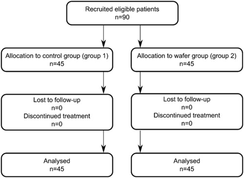 Figure 2. Consort flow diagram