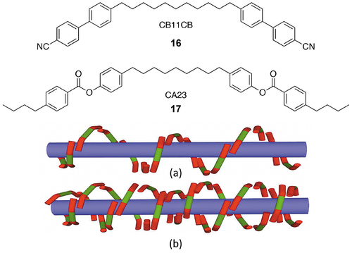 Figure 25. (Colour online) Chemical structures of CB11CB, 16, and CA23, 17 [Citation60], at the top of the figure, (a) shows how the molecules (in red and green) wrap around an axis to give a single helix, and (b) shows the structure of a double helix.