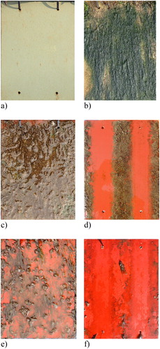 Figure 4. Representative examples of fouling rating: (a) E panel (March 2019, t = 11 months): frNSTM = 10 (15%), frNSTM = 30 (1%); (b) E panel (October 2018, t = 6 months): frNSTM = 30 (20-40%), frNSTM = 90 (60-80%); (c) non-cleaned AF panel (April 2019, t = 12 months): frNSTM = 30 (100%); (d) cleaned AF panel (April 2019, t = 12 months): frNSTM = 10 (3-99%), frNSTM = 20 (0-1%); (e) non-cleaned FR panel (April 2019, t = 12 months): frNSTM = 10 (30-40%), frNSTM = 20 (0-30%), frNSTM = 30 (0-50%), frNSTM = 90 (5-40%); (f) cleaned FR panel (April 2019, t = 12 months): frNSTM = 10 (30-60%).