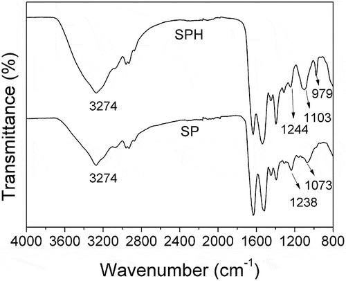 Figure 1. FTIR spectra of SPH and SP.