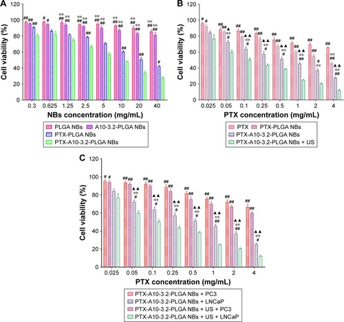 Figure 5 In vitro cell viability.Notes: (A) Effect of different formulations of NBs on the viability of LNCaP cells for 48 h. PTX-A10-3.2-PLGA NBs compared with the other three groups, #P<0.05, ##P<0.01; PTX-PLGA NBs compared with the other three groups, **P<0.01. (B) Effect of different PTX-loaded formulations on the viability of LNCaP cells for 48 h. PTX-A10-3.2-PLGA NBs + US compared with the other three groups, #P<0.05, ##P<0.01; PTX compared with the other three groups, **P<0.01; PTX-PLGA NBs compared with PTX-A10-3.2-PLGA NBs, ▲P<0.05, ▲▲P<0.01. (C) Cell viability of LNCaP cells incubated with PTX-A10-3.2-PLGA NBs at different concentrations of PTX with or without ultrasonic irradiation for 48 h. PC3 cells were used as controls. PTX-A10-3.2-PLGA NBs + US + LNCaP cells compared with the other three groups, #P<0.05, ##P<0.01; PTX-A10-3.2-PLGA NBs + PC3 cells compared with the other three groups, **P<0.01; PTX-A10-3.2-PLGA NBs + LNCaP cells compared with PTX-A10-3.2-PLGA NBs + US + PC3 cells groups, ▲▲P<0.01.Abbreviations: NBs, nanobubbles; PLGA, poly(lactide-co-glycolic acid); PTX, paclitaxel; US, ultrasound.