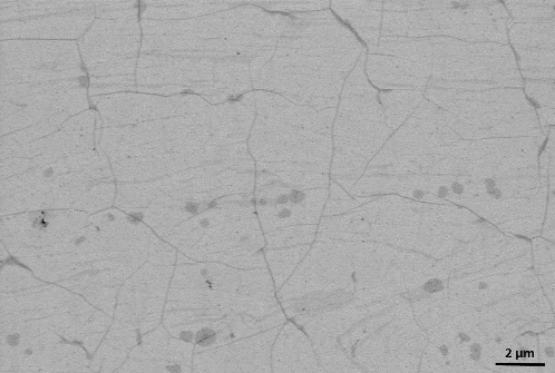 Figure 2. SEM image of graphene.