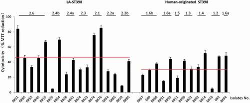 Figure 7. Cytotoxicity profile of the 30 investigated S. aureus ST398 isolates in HeLa cells. Hela cells were infected with bacteria at a MOI of 50:1. Upon 3 h incubation, the non-internalized bacteria were eliminated by washing the cells twice in fresh medium, and by bacterial killing with lysostaphin immediately after the last washing step. Subsequently, the HeLa cell viability was assayed by measuring the reduction of MTT. The results are presented as the percentage of MTT reduction relative to the uninfected control. The cytotoxicity of each S. aureus ST398 strain was assessed in three independent experiments. The two red lines mark the average MTT reduction upon HeLa cell infection with the investigated LA-ST398 or human-originated ST398 strains, respectively.