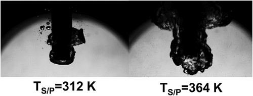 Figure 10. Bubble observation at downcomer outlet.