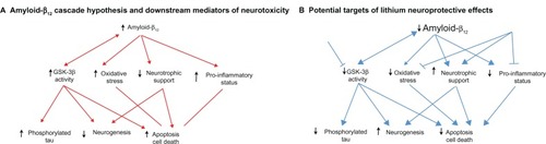 Figure 2 The mechanism and targets of lithium against Alzheimer’s disease-related pathology. (A) The main components of the amyloid-β cascade hypothesis of Alzheimer’s disease pathophysiology. (B) The possible targets and effects of lithium in the amyloid-β cascade.