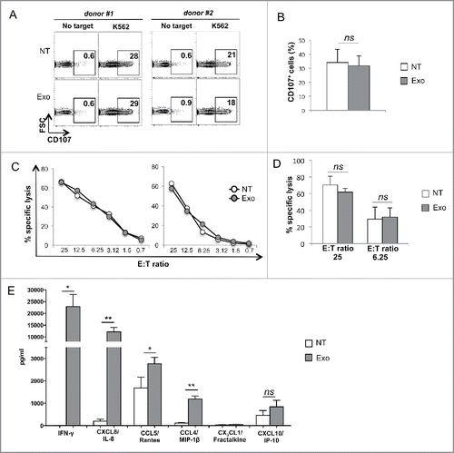 Figure 4. MM cell-derived exosomes do not affect NK cell degranulation and cytotoxicity but enhance cytokine and chemokine production. (A) NK cells were incubated for 48 h with 20 μg/mL of SKO-007(J3)-derived exosomes. The degranulation assay was performed against the sensitive target K562, using the CD107a lysosomal marker. The percentage of CD107+ NK cells is indicated in each panel. Two representative donors are shown. (B) The mean values of five independent experiments are shown. (C) NK cells were incubated in the presence of exosomes as in panel (A). The cytotoxic activity of untreated or exosome-treated NK cells was assayed against K562 target cells. Two representative experiments are shown. (D) The mean values of three independent experiments at the indicated E:T ratio are shown. (E) NK cells were incubated in the presence of exosomes as in panel (A). Cells were harvested and supernatants were collected and the amount of different cytokines as indicated, was measured by performing a Luminex assay. The mean values of three independent experiments ± SEM are shown. Medium containing exosome alone has undetectable levels of cytokine/chemokines (data not shown).