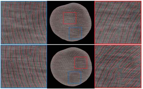 Figure 9. Result of the contact area analysis of a finger in contact with rough surfaces via the CNN for two different contact images. The contours of the predicted contact area are superimposed in red on the respective images. Close ups of two separate regions, highlighted by red and blue squares, are added for the respective image.