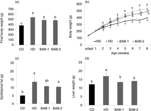 Fig. 1 Effect of black adzuki beans on (a, b) body weight and (c, d) organ weight in rats. Rats were divided into four groups of six rats each. CD, control diets containing 10 kcal% fat (D12450B); HD, high-fat diets control containing 60 kcal% fat (D12492); BAB-1 and BAB-2, high-fat diets (D12492) plus 1% or 2% (W/W) freeze-dried ethanolic extract of black adzuki beans. Data are expressed as mean±SD with different letters indicating a significant difference among groups, according to ANOVA with Duncan's multiple range test (p<0.05).