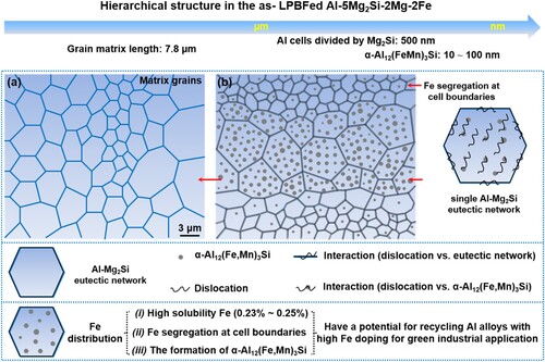 Figure 12. Schematic image showing the microstructural characteristics in this work.