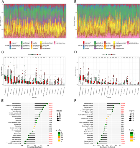 Figure 5 Immune microenvironment in GEO and TCGA cohorts (A and B) Bar plots of immune cell abundance in the GEO and TCGA cohorts. (C and D) Boxplots of differences in immune cells between normal and tumour samples in the GEO and TCGA cohorts. (*p < 0.05, **p < 0.01, ***p < 0.001,****p < 0.0001). (E and F) Correlation analysis of DHCR7 and immune cells in the GEO and TCGA cohorts.