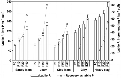 Figure 3. Labile Pi contents in soils and their increments over control after two crop rotation cycles of barley-soybean, as influenced by P rate and soil texture on five Quebec Humaquepts (bar = standard deviations).