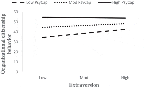 Figure 2. High positive psychological capital dampening the positive association of extraversion with OCB.