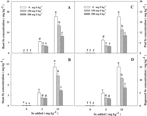 Figure 3. Selenium (Se) concentrations in various parts of Brassica napus L. grown at the mature stage with different concentrations of sulfur (S) and Se. Bars indicate standard error (n = 4). Different lowercase letters indicate significant differences at p < 0.05.