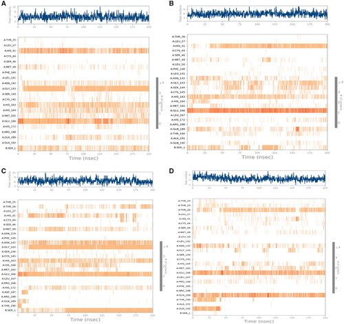 Figure 13. Heat map showing the total number of SARS-CoV-2 Mpro-ligand interactions all over the simulation time of 200 ns for (A) 3d, (B) 3e, (C) 3g, and (D) Co.