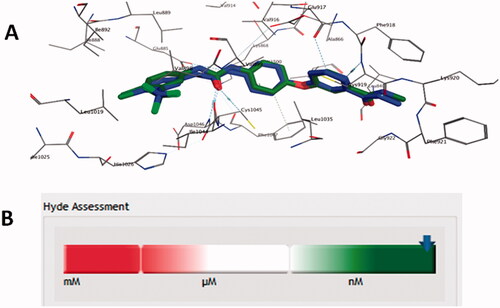 Figure 4. (A) Re-docked pose of the co-crystallized ligand (Green) aligned to the experimental pose (Blue) with RMSD = 0.8 Å in the active site of VEGFR-2 (PDB: 4ASD); (B) Hyde assessment showing the predicted Ki at low nanomolar range.