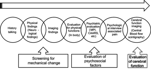 Figure 1 Flowchart for the evaluation and diagnosis of chronic musculoskeletal pain at Hoshi General Hospital. First, orthopedic surgeons evaluate physical, neurological, and imaging findings and diagnose the presence of any specific musculoskeletal disorders. Second, physical therapists evaluate physical function. Third, psychiatrists diagnose any psychological disorders associated with chronic musculoskeletal pain, including psychiatric disorders. Fourth, clinical psychologists evaluate the psychosocial factors associated with pain. Finally, we perform brain magnetic resonance imaging and cerebral blood-flow scintigraphy to evaluate cortical function.