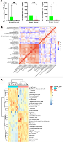 Figure 6. The levels of inflammatory cytokines TNF-α, IL-6 and IL-8 were measured with ELISA (a); The correlation between 30 metabolites in CSF samples (b) and their normalized heatmap (c) in neurobrucellosis cases. **p < 0.01, ***p < 0.001 in comparison to normal controls.