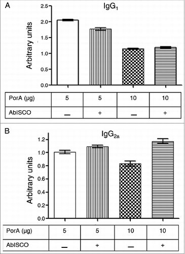 Figure 4. Anti-PorA specific responses of IgG1 and IgG2a antibodies to immunization with different rPorA formulations. (A). Antibodies anti-IgG1 in different immunized group formulations: AbISCO-PorA 5 and 10 μg and rPorA 5 and 10 μg alone. The immunization was evaluated in 8 groups of mice, as described in the material and methods section. ELISA was performed as described in the materials and methods section. (B). Antibodies anti-IgG2a in different immunized group formulations with 5 and 10 μg of the recombinant protein AbISCO-PorA and 5 and 10 μg rPorA alone. ELISA was performed as described in the methods section. All values were expressed in relative units.