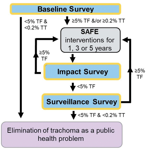 Figure 1. Decision-making for baseline, impact and surveillance surveys and SAFE (surgery, antibiotics, facial cleanliness and environmental improvement) interventions for trachoma elimination.Citation8,Citation9