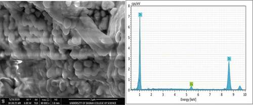 Figure 5. SEM micrograph and EDS analysis for coating sample 1 after application