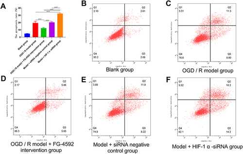 Figure 2 Pyroptosis was determined by flow cytometry. (A) Comparison of pyroptosis analysis, (B–F): flow cytometry results in different groups.