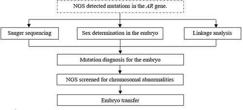 Figure 1 Diagram of preimplantation genetic diagnosis for AIS technique.