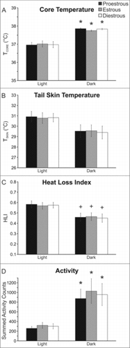 Figure 5. Average TCORE (A), TSKIN (B), heat loss index (C) and activity (D) during the estrous cycle of the mouse. Circadian rhythms were observed but there was no effect of the phase of the estrous cycle. Values represent mean ± SEM, n = 16 cycles averaged from 6 mice. + Significantly different than light phase p < 0.05, * Significantly different than light phase p < 0.01.