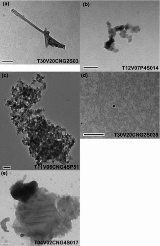 FIG. 3 Representative particle for each of the particle shape categories: (a) CNT/FUL, (b) open agglomerate, (c) closed agglomerate, (d) spherical, and (e) “other.” Scale bars are 100 nm in images (a)–(c) and (e), and 500 nm for image (d).