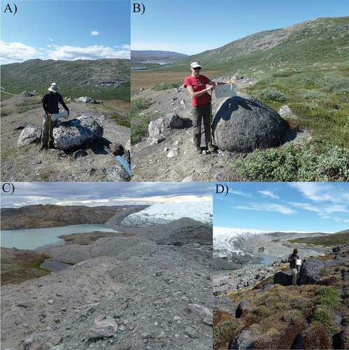 Figure 2. Photos of sampling locations. (A) Boulder (sample LL1109) on a right-lateral Keglen moraine. View to the southwest. The moraine continues in the background. (B) Boulder (sample LL1103) on a left-lateral Keglen moraine on Mount Keglen. View to the east. (C) Two distal-most historical moraines near sampling sites LL1137 and LL1139. The third, most proximal moraine is not pictured here, but it is just out of view to the right of photo. (D) Boulders distal to the historical trimline (marked by yellow dashed line). Note the vegetation growing on the boulders in the Ørkendalen drift in comparison to the trimline and the fresh, unweathered historical moraines in the background