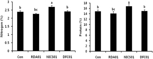 Figure 5. Effect of Penicillium spp. RDA01, NICS01, and DFC01 on protein and nitrogen content in sesame plants.