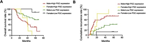 Figure S1 The subgroup analysis of gender and PGC expression level (OS and DFS) using Kaplan–Meier test. (A) The overall survival rate: for the male subgroup, the high PGC level group showed poor OS than the low-level group (red vs green, P=0.0153); meanwhile, for the female subgroup, the similar statistically significant differences were observed in high and low PGC level (yellow vs black, P=0.0002). (B) The disease-free survival rate: for the male subgroup, the high PGC level group showed poor DFS than the low-level group (red vs green, P=0.0031); likewise, for the female subgroup, the similar statistically significant differences were observed in high and low PGC level (yellow vs black, P=0.0016). Red line: male + high PGC level, n=35; green line: male + low PGC, n=27; yellow line: female <5 cm + high PGC, n=0; black line: female, n=3.