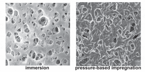 Figure 5. SEM images of surface morphologies (porous and dense) of CuCl-ChCl DES/PVDF based SLMs fabricated using different methods. Reprinted (adapted) with permission from (Citation20, Citation48).