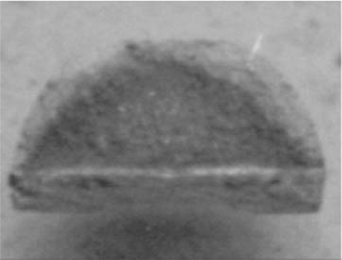 Figure 3. Photographs of the composite aluminium–zirconia, without cellulose fibres.