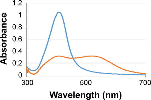 Figure S5 AgNPs suspended in bacteria nutrient broth (orange line) and in sodium citrate 1 mM solution (blue line). In the first case, as broader peak shows, nanoparticles aggregation occurs.Abbreviation: AgNPs, silver nanoparticles.